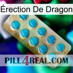 Érection De Dragon new09
